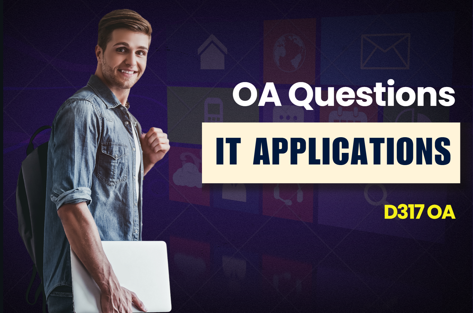 D317 - IT Applications